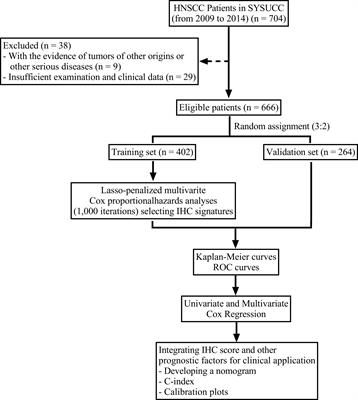 Prognostic value of the immunohistochemical score based on four markers in head and neck squamous cell carcinoma